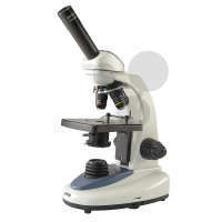 Microscope 146 FLA